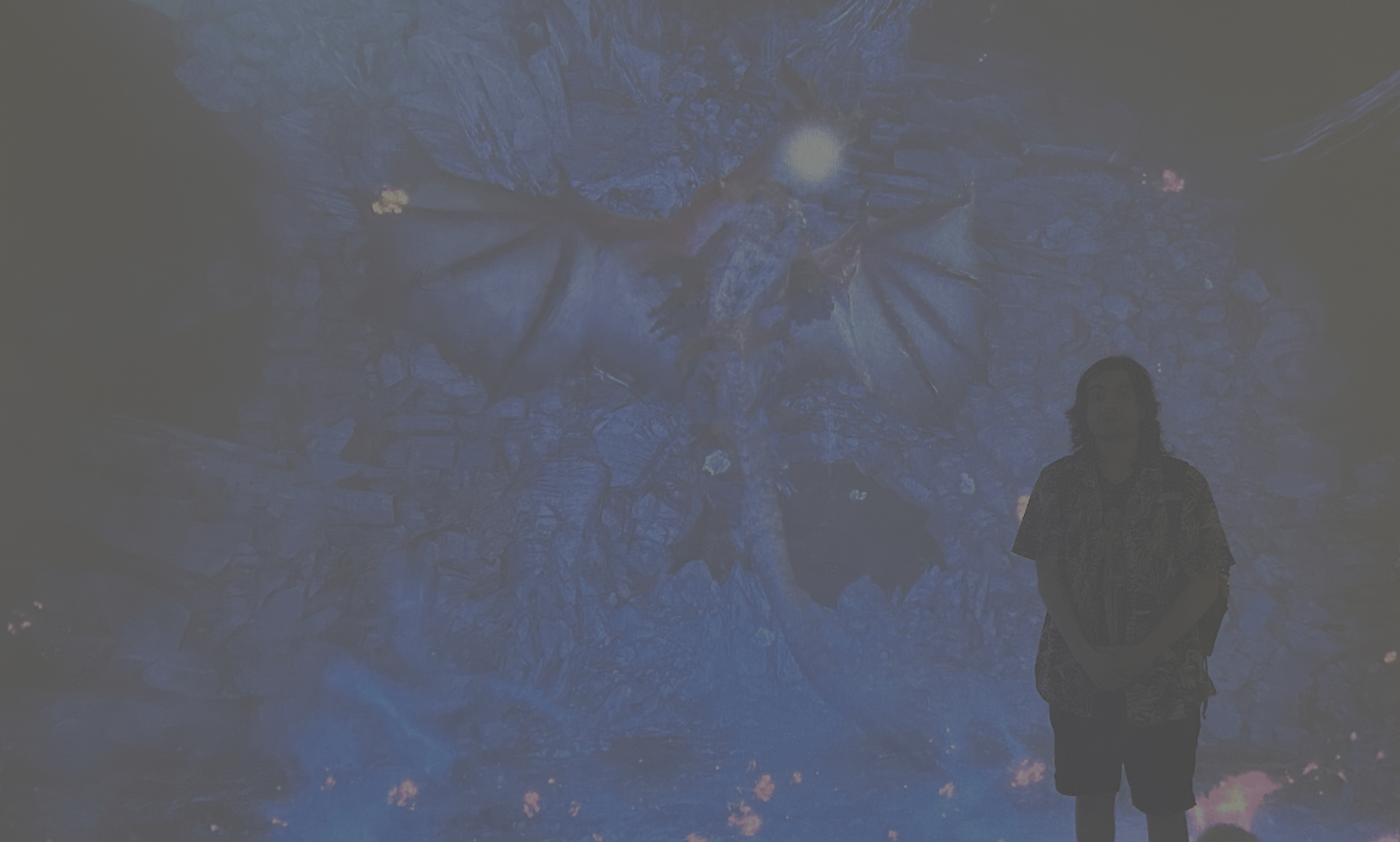 Vincent Gaudet qui va bientot se faire atomiser par un dragon